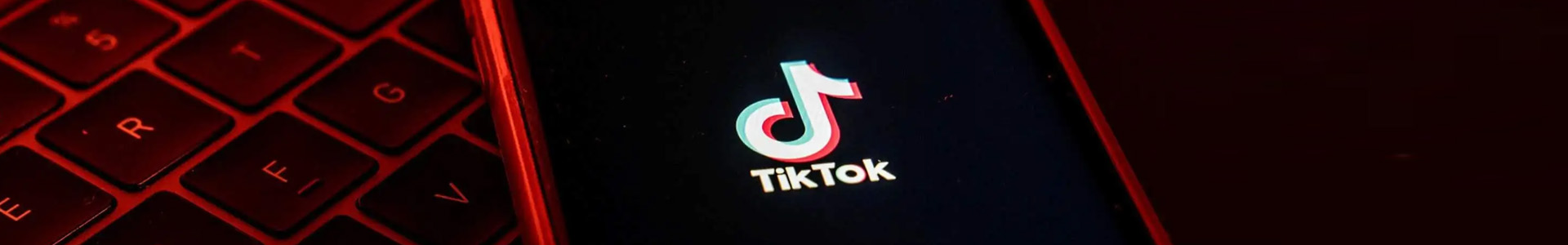 外贸独立站搭建Tiktok推广 第2张