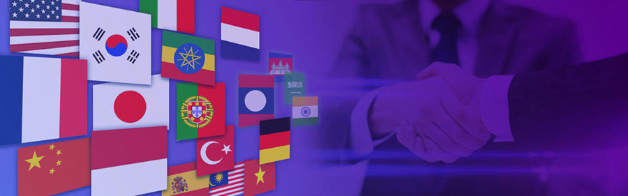 外贸独立站搭建小语种网站建设  第2张