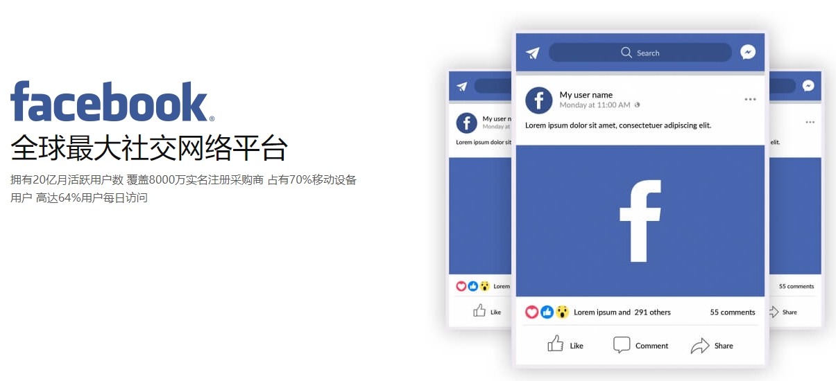 外贸独立站搭建海外社交媒体营销  第1张